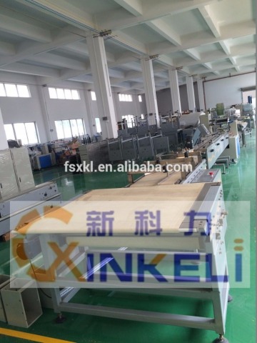 full automatic feeding and packing machine for cookies