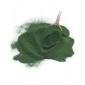 Pure Vulgaris Chlorella Powder / Chlorella Extract Powder