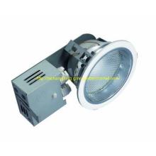 Frost Protected Downlight