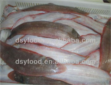 Fresh Tongue Sole Fish