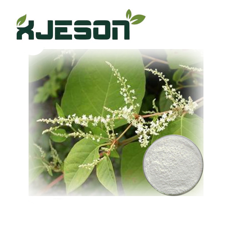 Water Soluble Resveratrol Extract From Giant Knotweed Rhizome