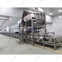 Pigment mesh belt drying equipment