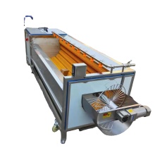 Apple Puree Pulp Production Line - Apple Brush Clean Machine