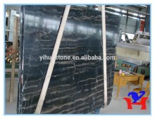 Fault fossil black marble