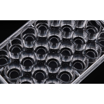 Placas de cultivo celular con fondo de vidrio de 24 pocillos