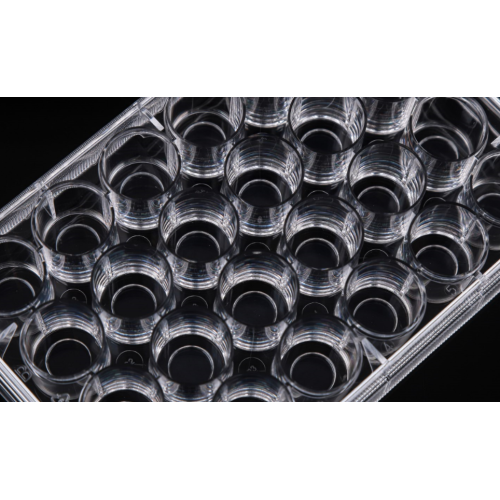 24-dołkowe płytki do hodowli komórek ze szklanym dnem