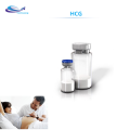 5000iu hcg hcg hcg en poudre de grossesse Test de test