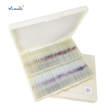 200pcs Medical Science Human Pathology Slides