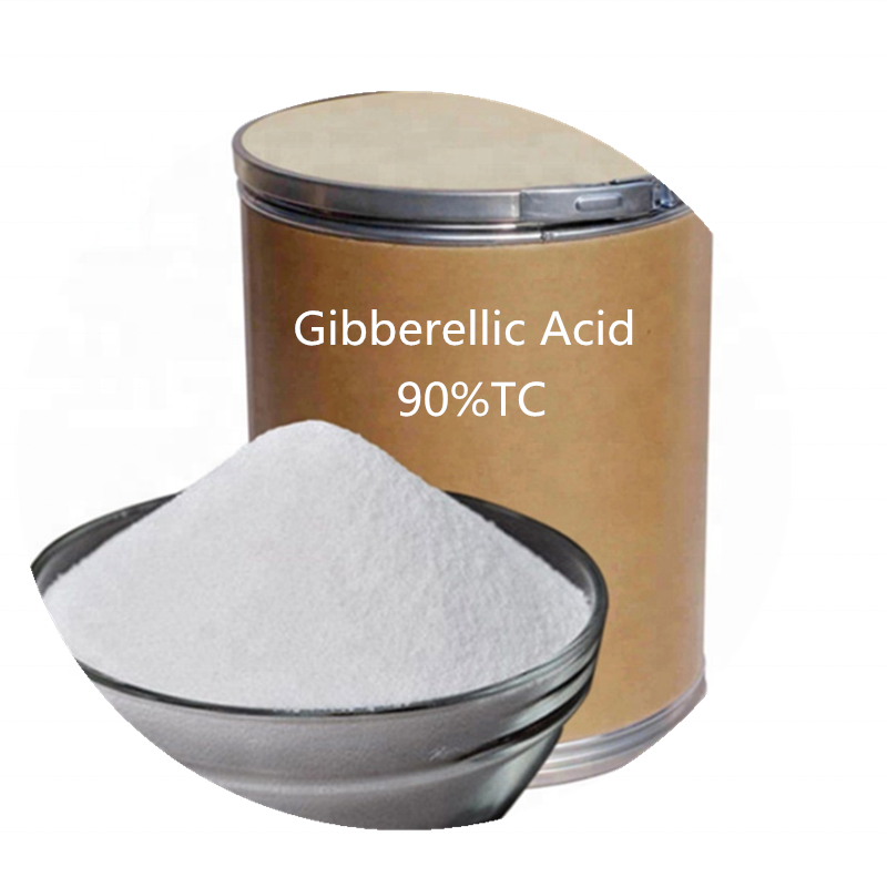 Gibberellic Acid 10%Tab GA3 Plant Growth Regulator Ga3 PGR 10%Tablet GA3 acid gibberellic