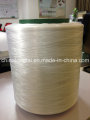 100% matériel vierge de fil de polypropylène de FDY pour tricoter