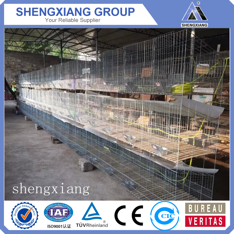 Hot sale rabbit cage