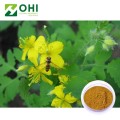 Chelidonium Majus 추출물 / Chelerythrine 애기똥풀 추출물