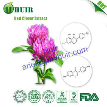 Top Quality Red Clover Powder,Red Clover Extract Powder,Red Clover P.E.