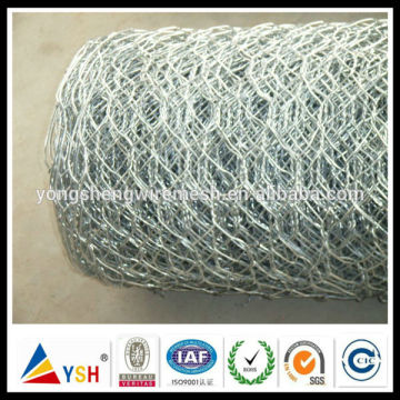 Galvanized/PVC coated /Stainess Steel Hexagonal Wire Netting