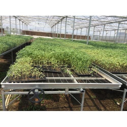 Pertanian Bench rolling bench For Greenhouse