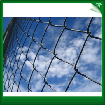 Specilized in galvanized chain link fence