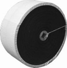 Cold resistant conveyor belt