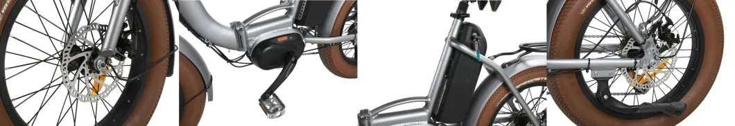 Factory Supply Folding E Bike Electric Bicycle Fat Tire E Bike EU Standard