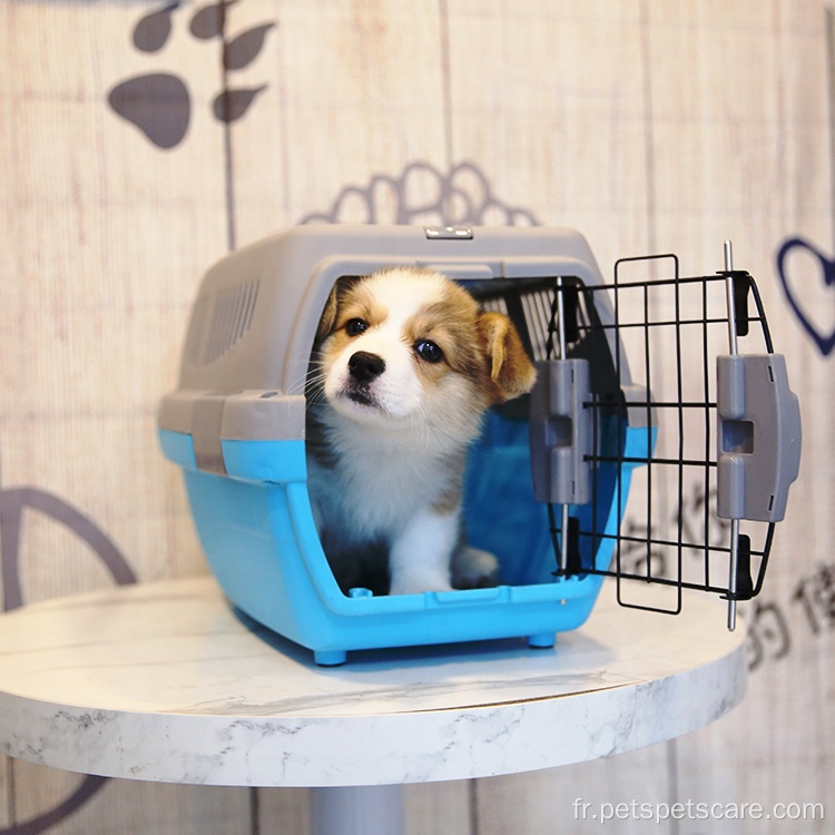 Cages de transport de chats en vente en gros de l'OEM