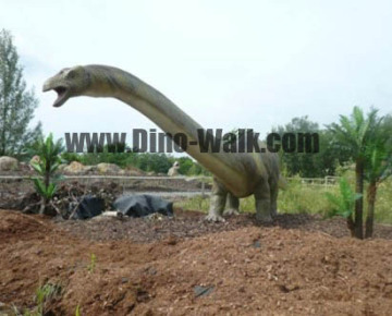 Life Size Artificial Dinosaurs Model-Mamenchisaurus Replica