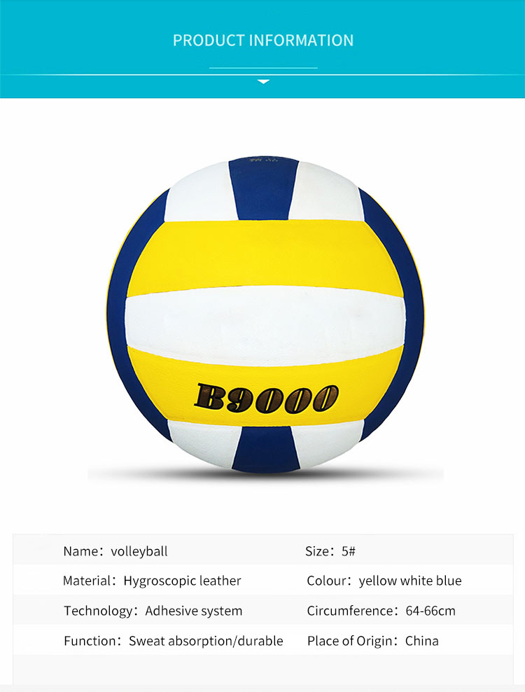 Official Size Weight Beach Volleyball Indoor Portable Volleyball