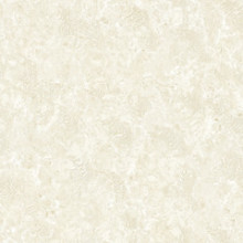 Shell Stone series porcelain polished Tile