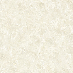 Shell Stone series porcelain polished Tile