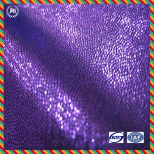 Custom Polyester Lycra Anti Bacterial Dancewear Fabric