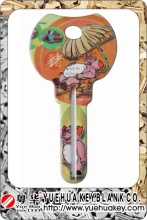 Color Painted Key Blanks