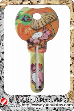 Color Painted Key Blanks