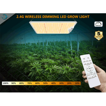Bieten Sie drahtlose Fernbedienung Grow Light 100W, LED