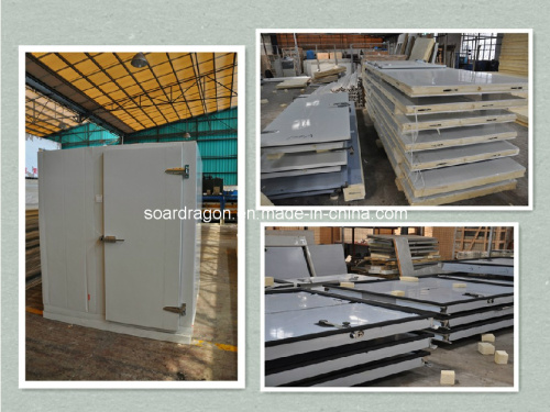 Cold Storage Room Doors (DC)