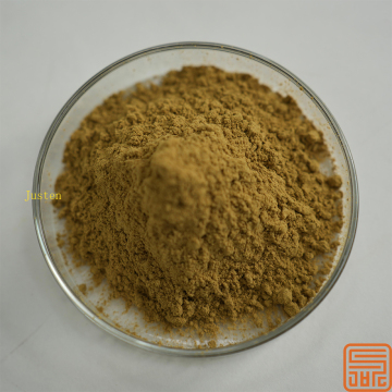 Tongkat Ali Extract Eurycomanone 1%