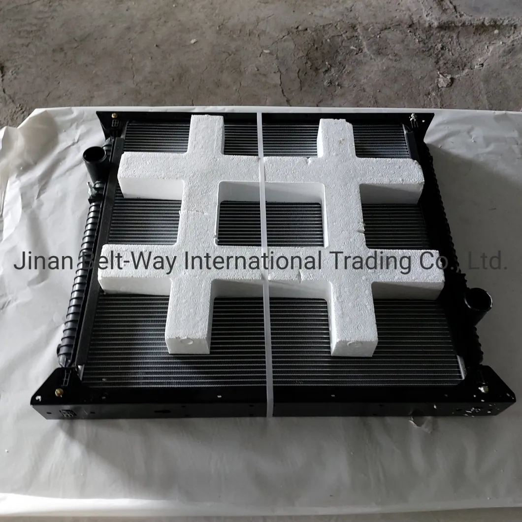 Sinotruk HOWO Truck Parts Truck Spare Parts Radiator Wg9719530270 Wg9725530011