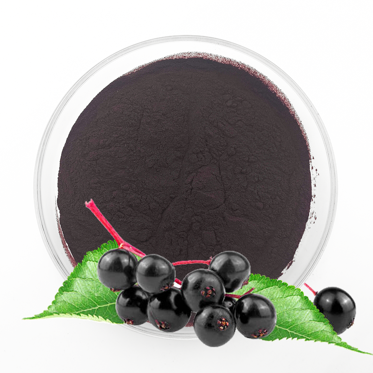Elderberry Anthocyanins Elderberry Anthocyanins