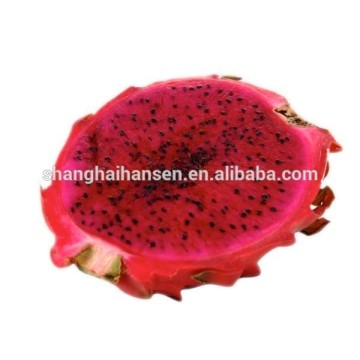 dragon fruit import export agent services in Shanghai