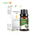 100% pure Cajeput Essential Oil At Best Price Analgesic