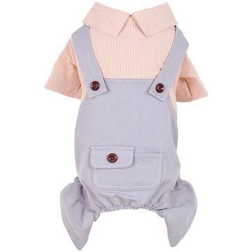 Spring and summer four-legged clothes for pets