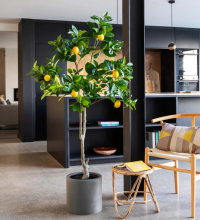 Artificial Lemon Tree with Fruits for Indoor/Outdoor Decoration