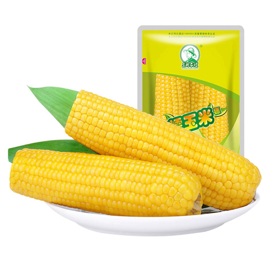Tasseling Corn