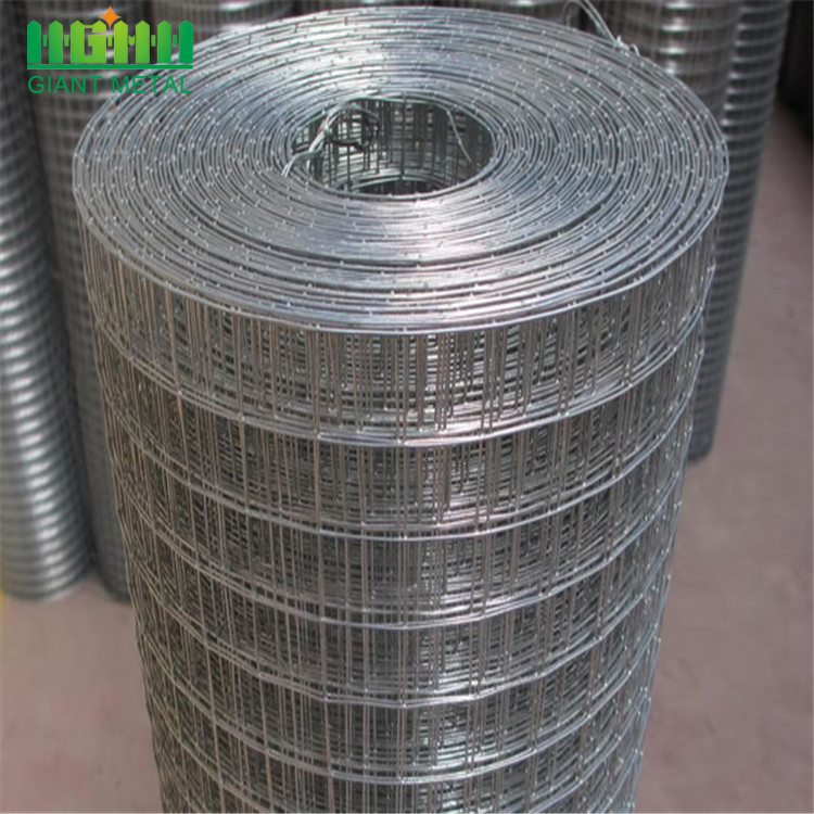 Factory PVC Galvanized Welded Wire Mesh Roll
