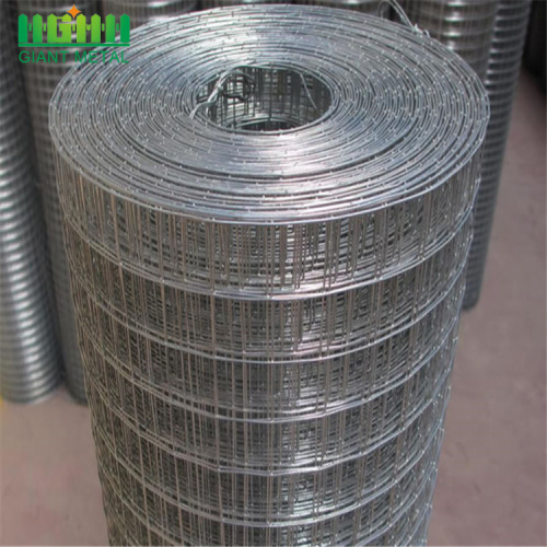 Sangkar Burung Galvanis Dilas Wire Mesh Roll