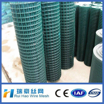 Holland Wire Mesh/Dutch Wire Mesh factory direct supply