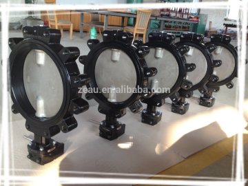 worm gear lug butterfly Valve