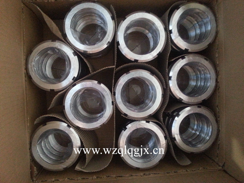 Ferrule Sanitary Fitting