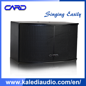 Pro sound and light sound system speaker for hall pro ktv speaker