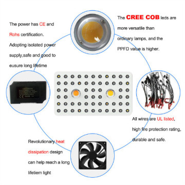 최고의 COB LED 성장 조명 2020.