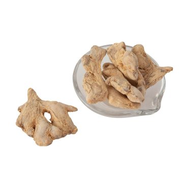 Hot Sell Dehydrated Ginger Whole
