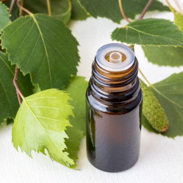 Pure Natural Birch Wood Essential Oil