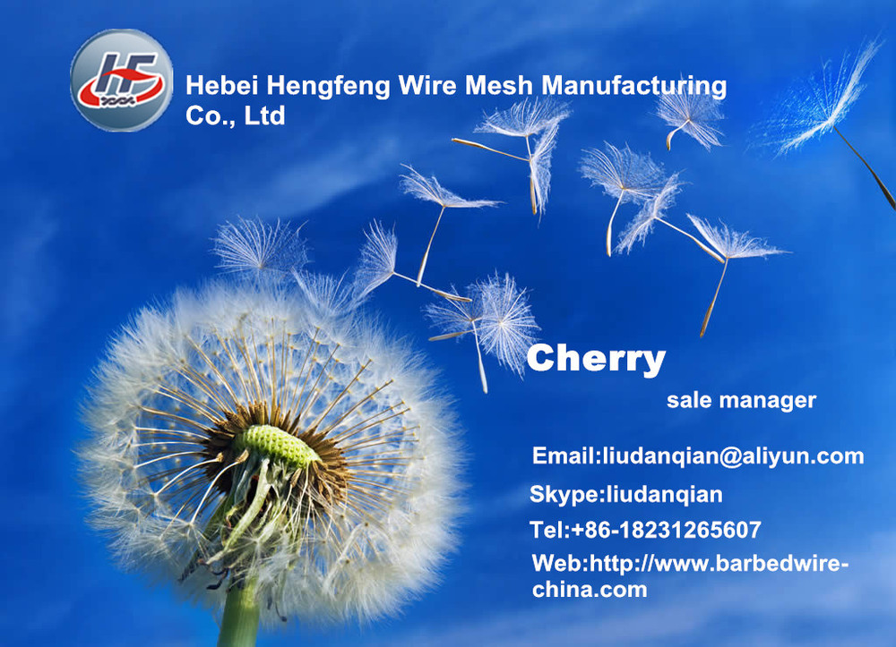 hexagon wire netting,chicken mesh,electro galvanized after weaving hexagonal wire netting